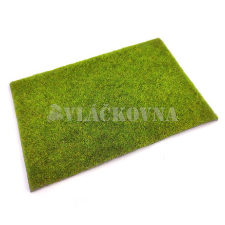 Mokřad světlý